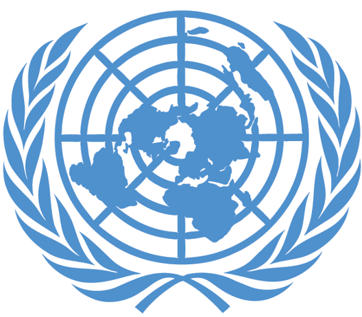 Development Coordination Officer (Data Management and Results Monitoring/Reporting) (NOC)